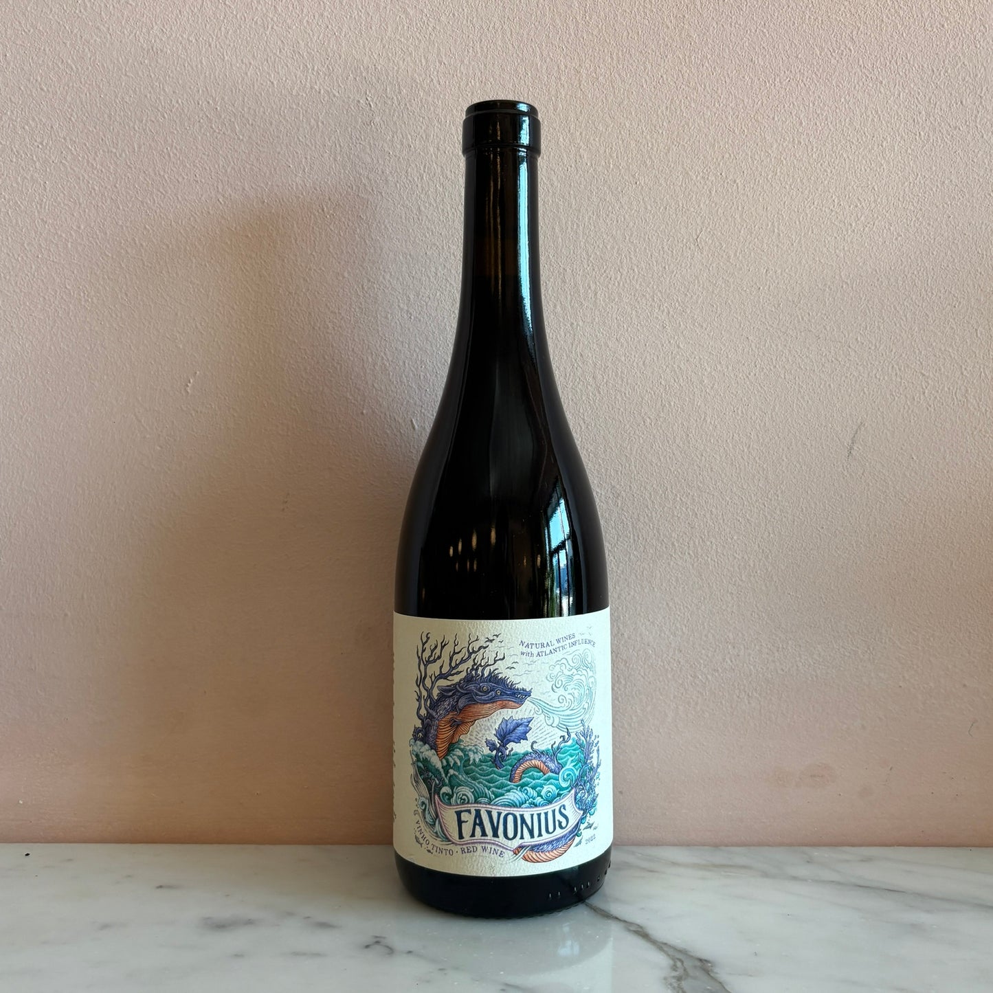 Favonius "Vinhos Tinto" Nazaré, Portugal 2022
