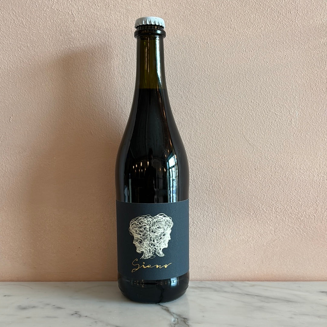 Fondo Bozzole "Giano" Lambrusco, Lombardy, Italy 2022