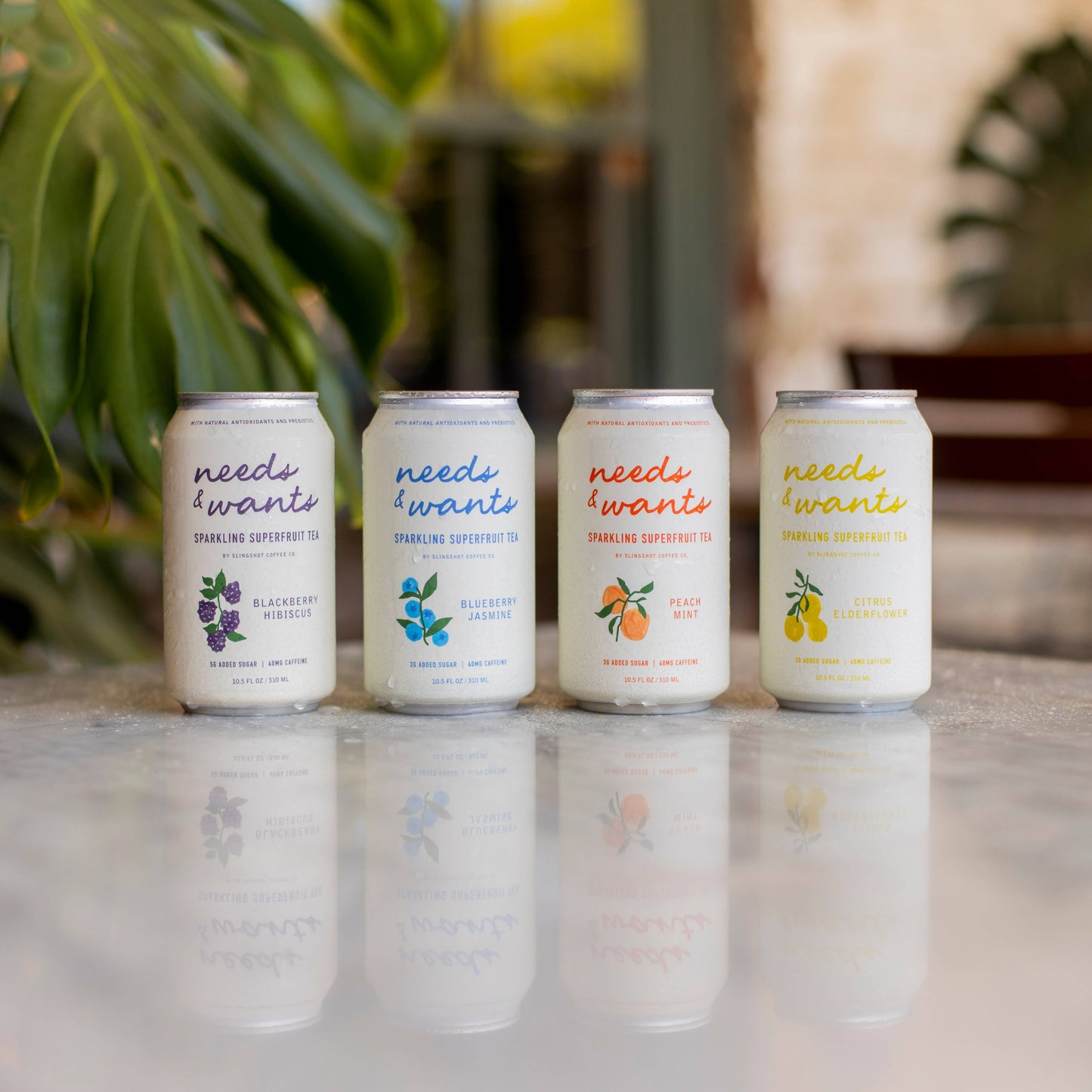 Slingshot Needs & Wants Sparkling Peach Mint Superfruit Tea