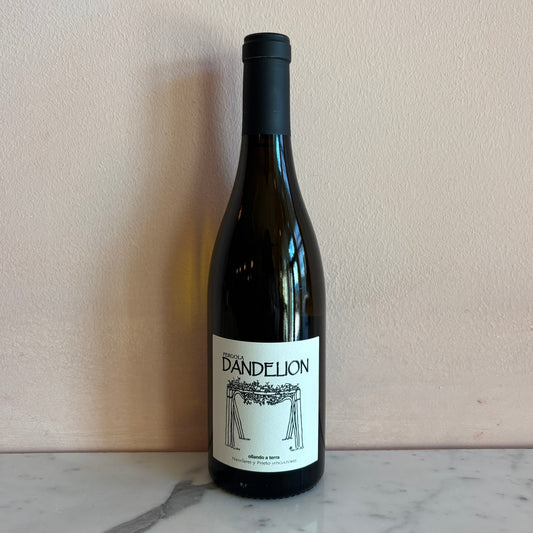 Alberto Nanclares y Prieto "Dandelion" Albariño, Rías Baixas, Spain 2024