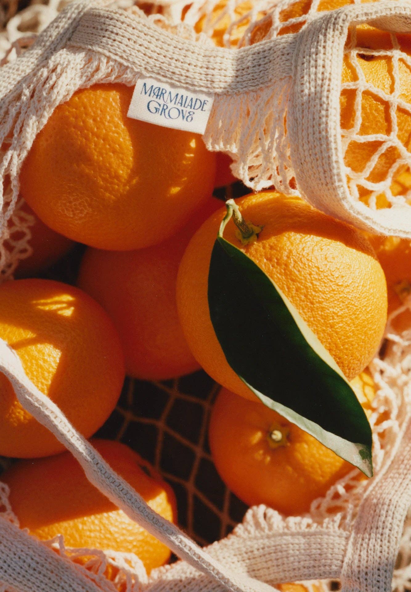 Marmalade Grove "Tea Time" Navel Orange & Ceylon Tea Marmalade