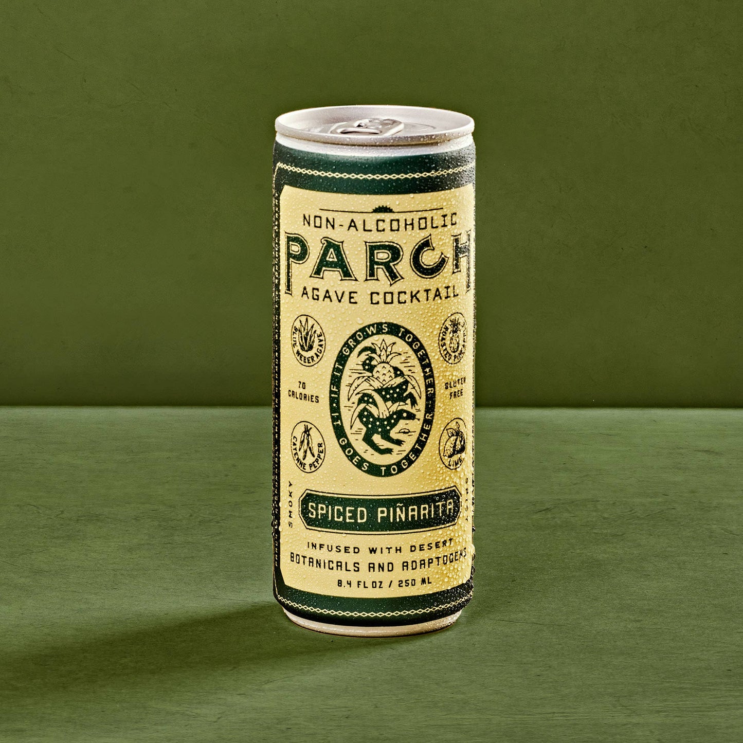 Parch Spiced Piñarita NA Agave Cocktail