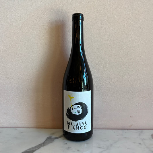 Malauva "Bianco" Umbria, Italy 2023