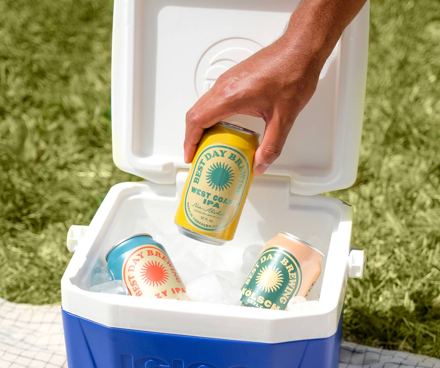 Best Day Brewing NA West Coast IPA