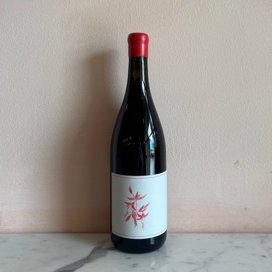 Arnot-Roberts "Gamay Noir" El Dorado, Sierra Foothills, California 2024