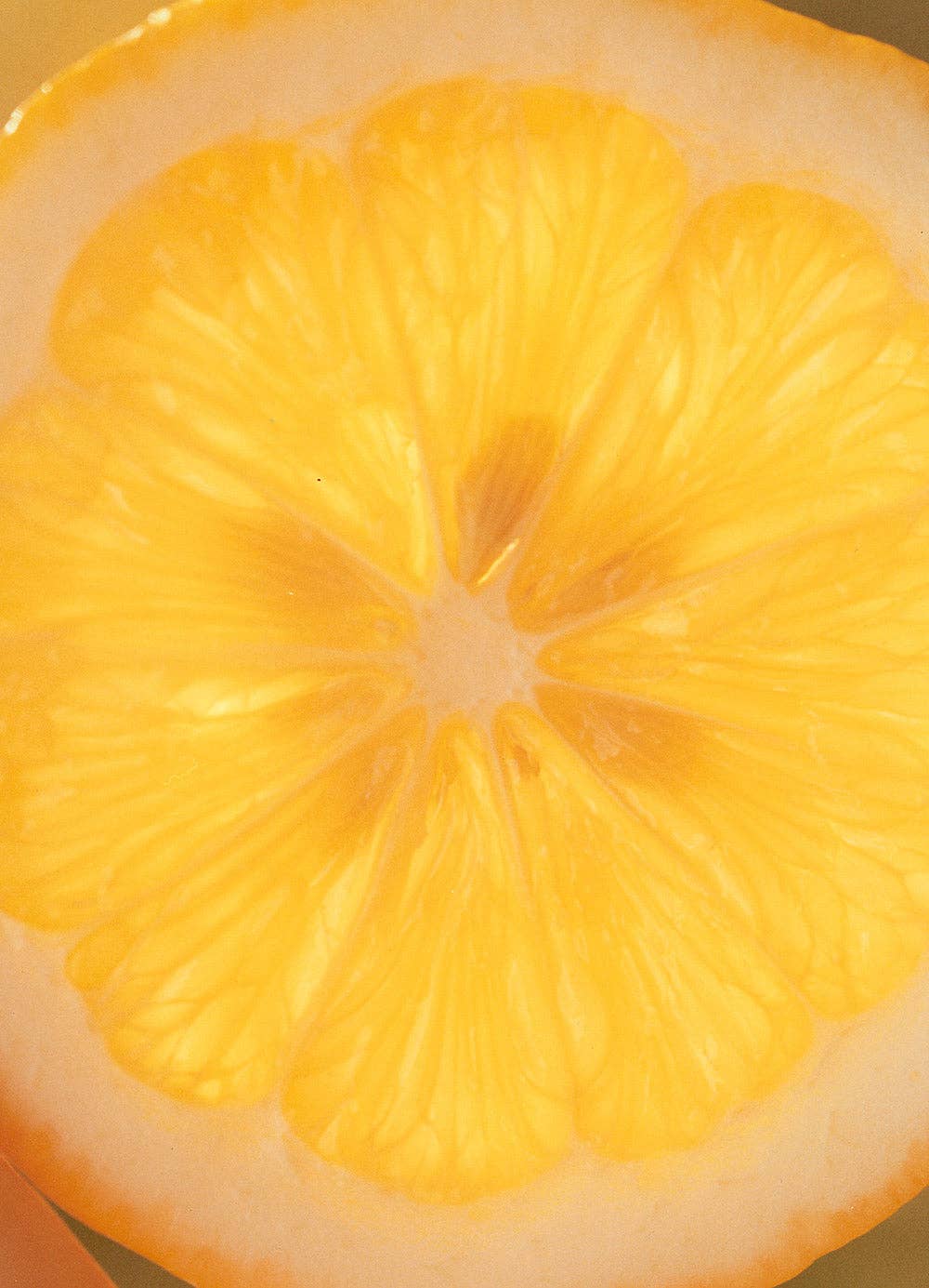 Marmalade Grove Meyer Lemon & Honey Marmalade