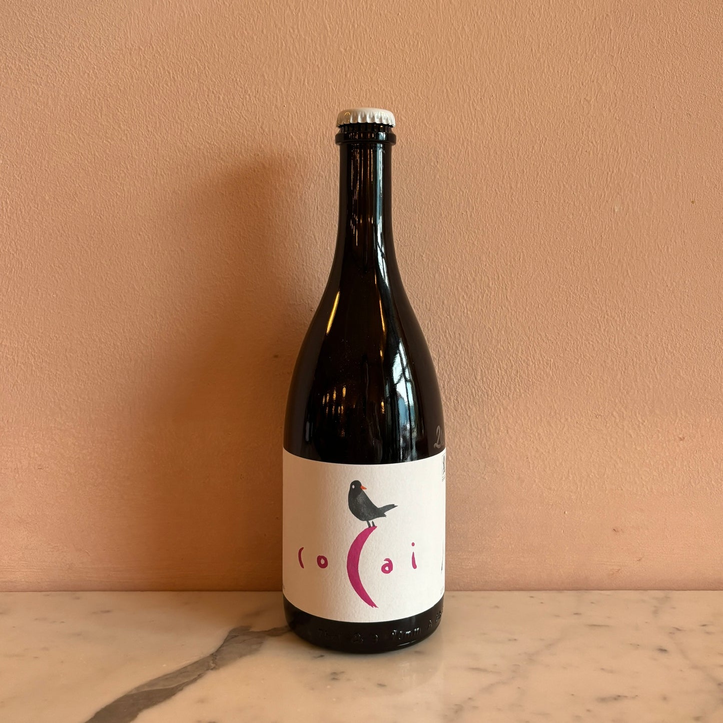 Fondo Bozzole "Cocai" Lambrusco, Lombardy, Italy 2024