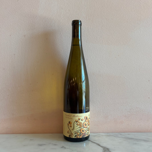 Teutonic "Candied Mushroom" Riesling, Willamette Valley, Oregon 2025