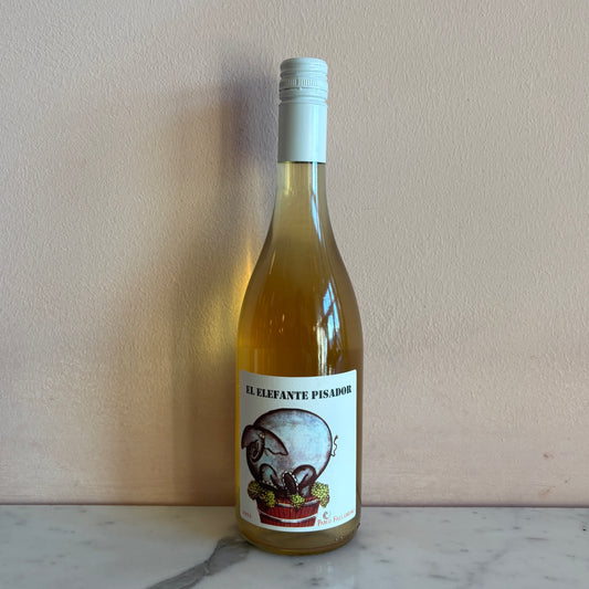 Pablo Fallabrino "Elefante Pisador" Canalones, Uruguay 2025