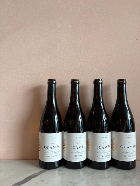 OCampo, a Canary Island Vibe